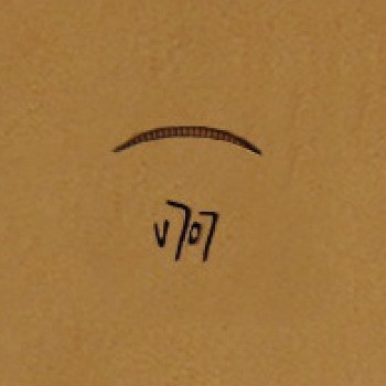 Штамп для тиснения по коже V-707 Япония