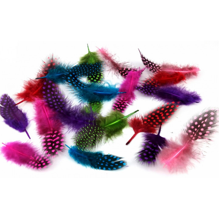 Перышки цесарки