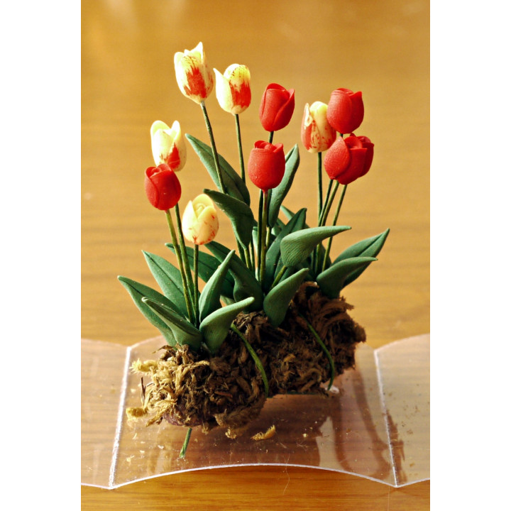 Тюльпаны садовые для кукольного дома