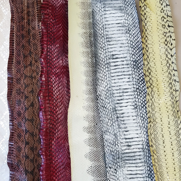 Кожа змей Разные цвета